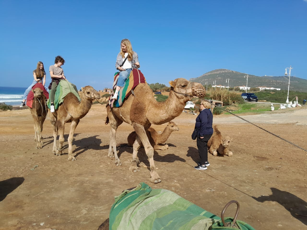 Happy Guests on Camels